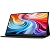 Monitorius 39,6 cm (15,6") 1920 x 1080 pikselių Acer UM.ZP1EE.007 16:9 Full HD IPS 6 ms 60 HDR HDMI USB šakotuvas VESA garsiakalbis