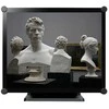 Monitorius AG neovo TX-1702 43.2cm 10 Point Touch juodas