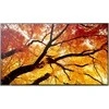 Monitorius Sharp M862 86IN UHD LFD D-LED - 24/7 550CD SDM CM SLOT