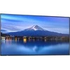 Monitorius NEC Sharp P436, 43" P-Series LFD, UHD 4K (3840x2160), Brightness