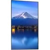 Sharp „Monitorius NEC“ MODELIS PN-P436, 43 colių P serijos didelio formato ekranas, UHD, 700 cd/m2, D LED foninis apšvietimas, 24/7 įrodymas, SDM lizdas, CM lizdas