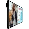 Philips 6000 series 50BDL6017P Płaski panel Digital Signage 125,7 cm (49.5") LCD 800 cd/m² 4K Ultra HD Juodas Procesor įmontuotas Android 14 24/7