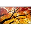 Monitorius Sharp M752 75 colių UHD LFD D-LED – 24/7 550CD SDM CM SLOT