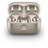 MOTOROLA MOTO BUDS LOOP FRENCH OAK