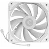 MSI MAG F120 ARGB Baltas Gehäuselüfter Single Pack