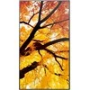 Monitorius Sharp M502 50 colių LFD UHD 550CD/M2 D-L - FONINIS APŠVIETIMAS, 24/7 ĮSPĖJIMAS, SDM LIZDAS, CM