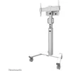 Laikiklis NEOMOUNTS BY NEWSTAR SELECT MOBILE DISPLAY FLOOR STAND (32-75") 10 CM. WHEELS Baltas