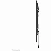 Laikiklis NEOMOUNTS BY NEWSTAR SCREEN WALL MOUNT (TILT, VESA 800X400)