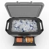 Turistinis šaldytuvas Ninja FrostVault 47L- pilka FB151EUGY