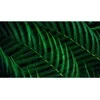 „PHILIPS 27B2G5200/00“ – 27 colių FHD LED 16:9 IPS 75Hz D-SUB HDMI 1.4 DP 1.2 monitorius