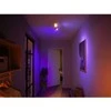 Philips Hue Baltas &amp; Color Ambiance Centris lubinis šviestuvas baltas • 2 taškų