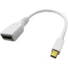 ROLINE 12.03.3163, Mini DisplayPort, DisplayPort, Kištukas, Lizdas, Balta