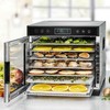 Džiovintuvas Rommelsbacher DA 650 dehydrator żywności Juodas, nerūdijantis plienas 600 W