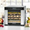 Džiovintuvas Rommelsbacher DA 650 dehydrator żywności Juodas, nerūdijantis plienas 600 W