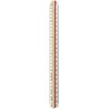Rotring ROTRING Reduktionsmaßstab Dreikant 30cm / Architekt S0220481