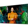Monitorius SAMSUNG 75" QB75C UHD 350 NITS 16/7 SOC WIFI