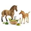 Schleich Horse Club 42432 Sarahs Cub priežiūros rinkinys