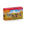 SCHLEICH WILD LIFE Pradinis Rinkinys