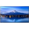NEC „Sharp Monitorius“ didelio formato „MultiSync P656“ 65 colių UHD 700 cd/m2 monitorius, veikiantis visą parą