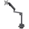 StarTech Monitoriaus laikiklis - 40'' (ARMPIVOT2)