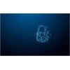 Kingston IronKey Locker+ 50 G2 256GB USB 3.2