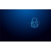 Kingston Flash Drive | IronKey Vault Privacy 50C AES-256 Encrypt | 512 GB | USB-C | Mėlyna