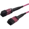 Synergy21 LWL-MTP®-Female Patchkabel OM4 LowLoss(ELite), 12 Faser, Typ B crossed, erika-violett, 7,5m
