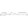 Synergy21 Synergy 21 LED Flex Strip 2835 - 30 NW DC24V 130W IP20 ULS 20m