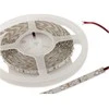 Synergy21 Synergy 21 LED Flex Strip 3528 - 60 raudona DC12V 24W IP20