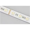 Synergy21 Synergy 21 LED Flex Strip 5050 - 60 RGB DC24V + RGB-WW (RGB-CCT) one chip IP65