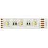 Synergy21 Synergy 21 LED Flex Strip 5050 - 60 RGB DC24V + RGB-W one chip ww IP68