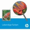 Hewlett Packard (HP) Hewlett-Packard 31 (1VU26AE), Mėlyna kasetė