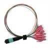 Value VALUE MPO Fanout Kabelis 50/125m OM4, MPO/12x LC, violetinė, 2 m
