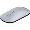 Wortmann TERRA Pelė NBM1000S wireless BT sidabrinis