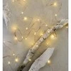 LED girlianda NANO, 230Vac, 4m, 40 x LED, šiltai balta, su laikmačiu, EMOS