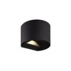 Duro Sieninis lauko šviestuvas CILINDER, LED 2x3W, 4000K, IP54, reguliuojamo švietimo kampo, juodas, LED line LITE