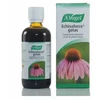 A. VOGEL Vogel Echinaforce 100ml