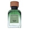 Adolfo Dominguez Vetiver Terra kvepalų purškalas 120ml
