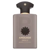 Amouage Opus V Woods Symphony EDP kvepalai vyrams, 100 ml