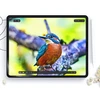 Matte Apsauginė plėvelė Apple iPad 10.9” 10 / 2022 / 11” 11 / 2025 Hofi Paper Pro+ 2-pack Matte Clear