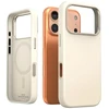 Dėklas Araree Typo Skin M MagSafe do iPhone 17 Pro stone