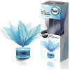 Aromatinių žiedlapių puokštė Brait Night Sapphire 50ml