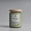 Artflow Aromatinė žvakė CUCUMBER &amp; CASABA 580g Alyvuogių žalia