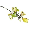 Artflow Dirbtinė magnolija 68 cm, balta