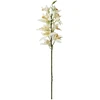 Artflow Dirbtinė orchidėja 76 cm, balta