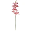 Artflow Dirbtinė orchidėja 76 cm, rožinė