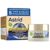 Astrid Pilninamasis naktinis kremas nuo raukšlių su aukso baltymais Hyaluronic Gold (Kreminis) 50 ml