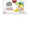 Augļu tēja HERBITUM ar Ingveru un citroniem, 2gx20gab