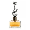 Aurora Scents Deciduous Autumn - EDP 100 ml + EDP 8 ml