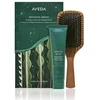 Aveda Botanical Repair Set for Botanical Repair Strengthen and Smooth Styling